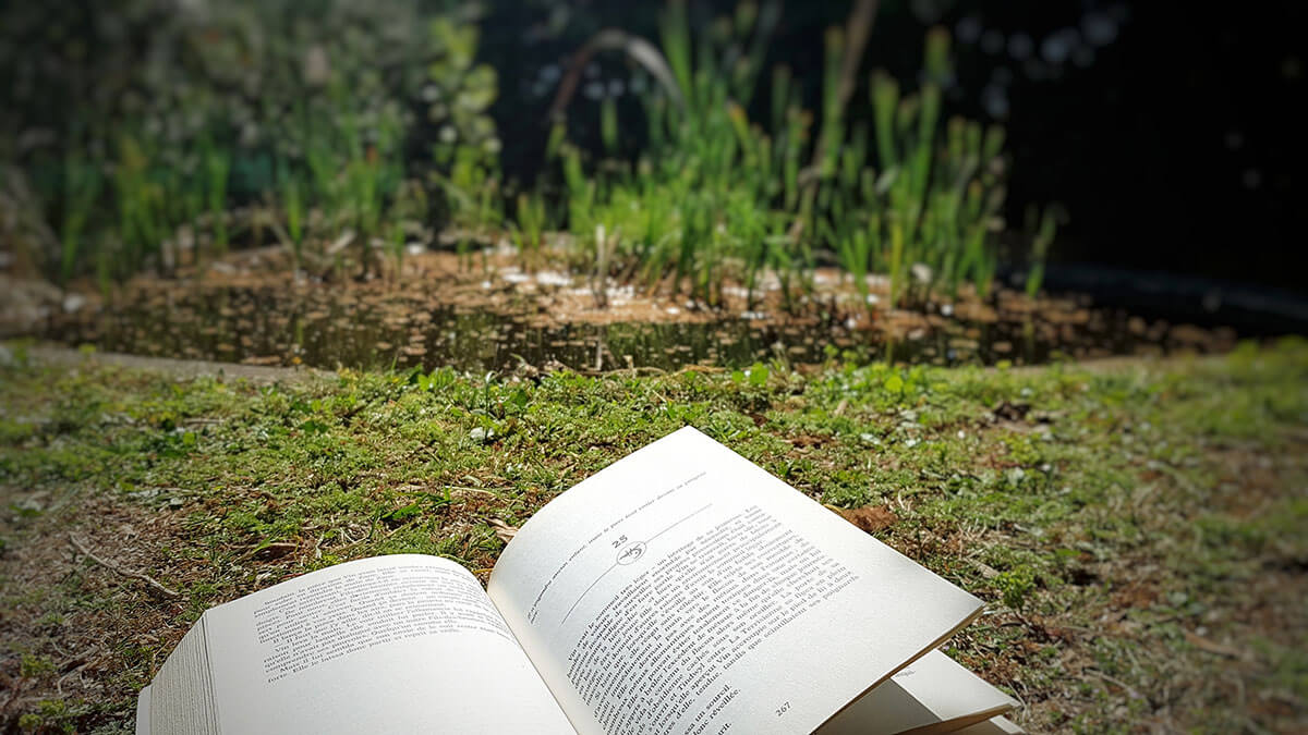 photo d'un livre dans un jardin au soleil lors du confinement covid-19
