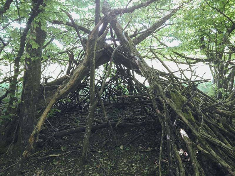 cabane dans les bois au printemps 2020 pendant le confinement