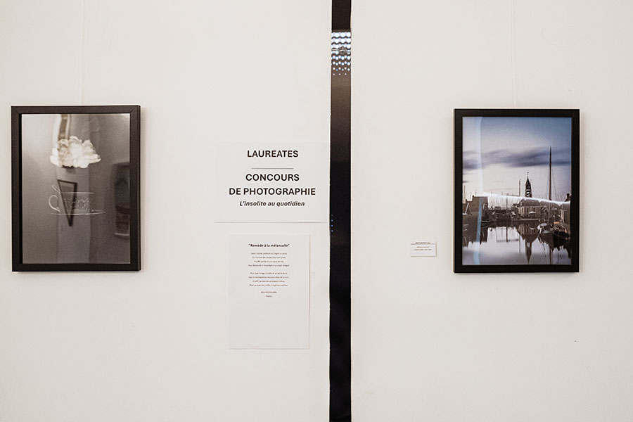 concours photo insolite