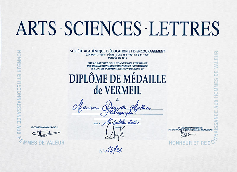 médaille de vermeil photo arts-sciences-lettres