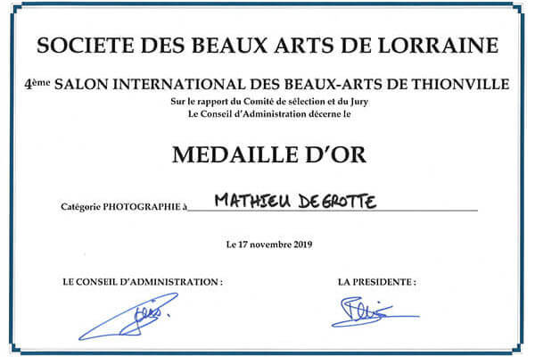 médaille d'or de photographie du salon des beaux arts