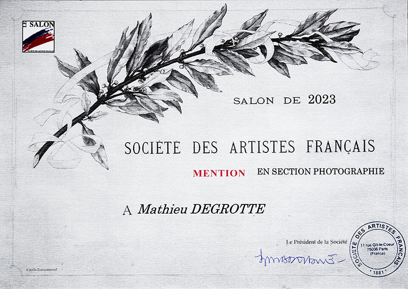médaille photo salon des artistes français grand palais